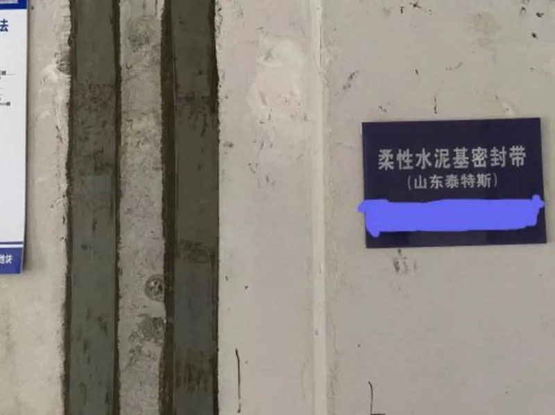 泰特斯為何成為行業(yè)翹楚?“精、尖、專”是關鍵!